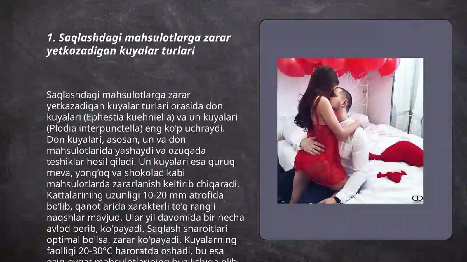 Saqlashdagi maxsulotlarga zarar keltiradigan kuyalar va ularga qarshi kurash choralari 3
