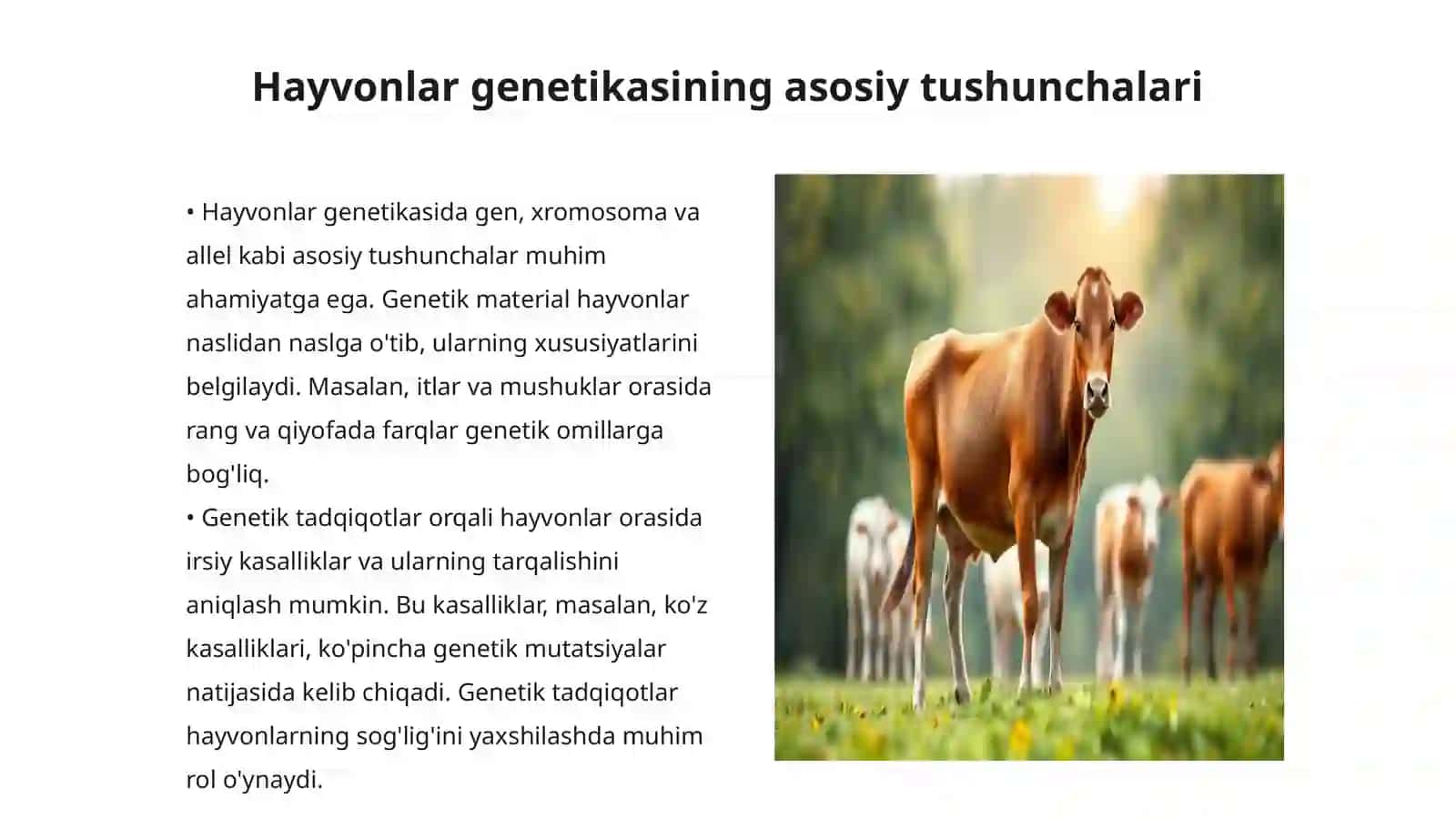 Hayvonlar genetikasida seleksiya ishlari 3