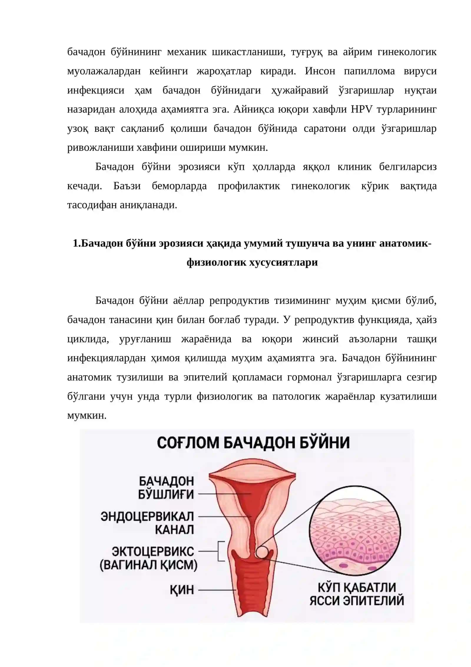 Бачадон бўйни эрозияси: этиологияси, патогенези, клиникаси ва лазер усулида даволаш 3