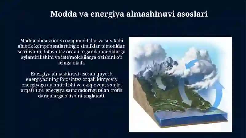 Modda va energiya almashinuvi 3
