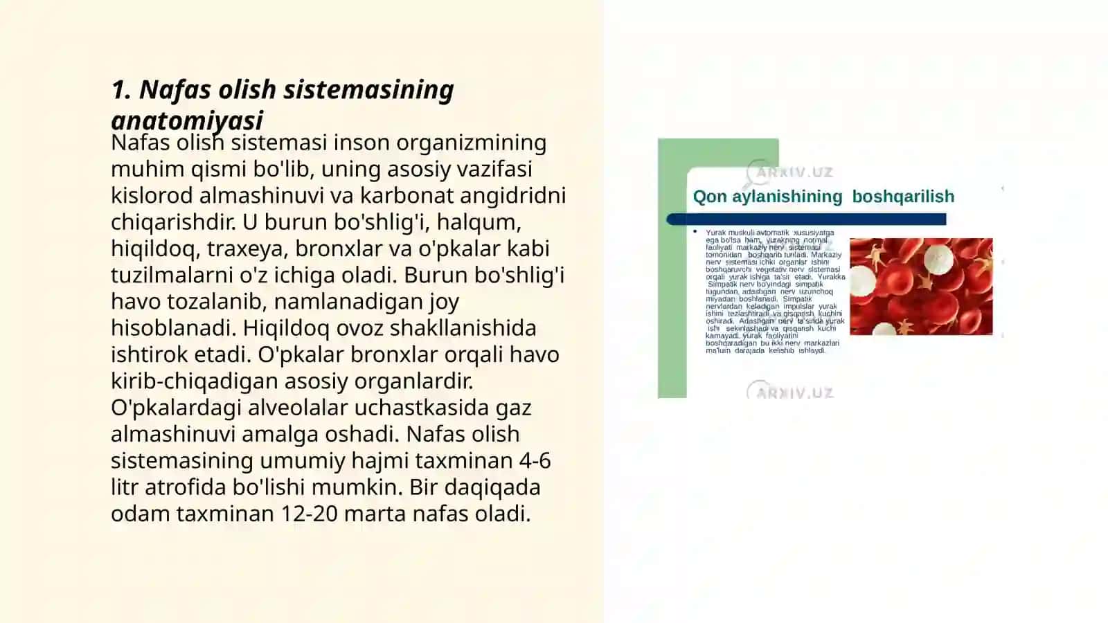 Nafas olish sistemasi faoliyatining yosh xususiyati va gigiyenasi 3