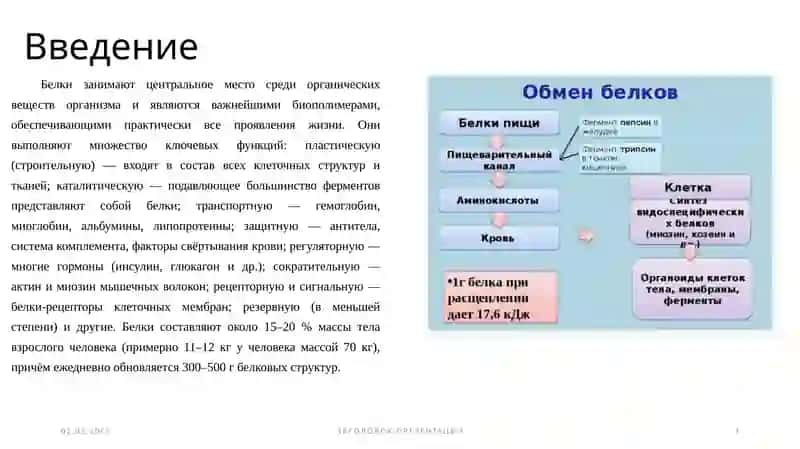 Биохимического превращения белков в организме человека 3