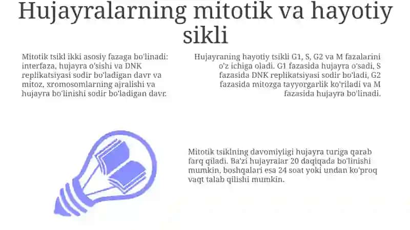 Hujayra proliferatsiyasi va hayotiy sikli 3