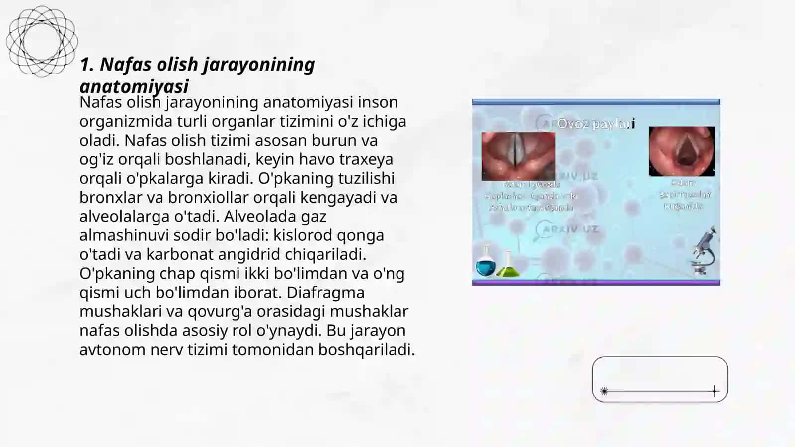 Nafas olish fiziologiyasi 3