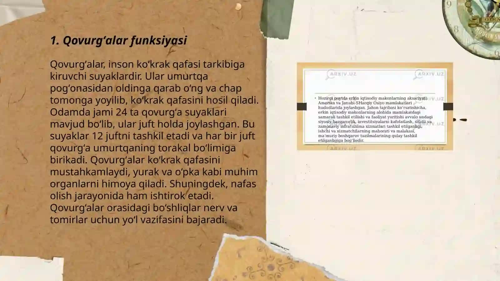 Qovurgʻalar toʻsh suyagi va koʻkrak qafasi Yelka kamari va qoʻl erkin suyaklari 3