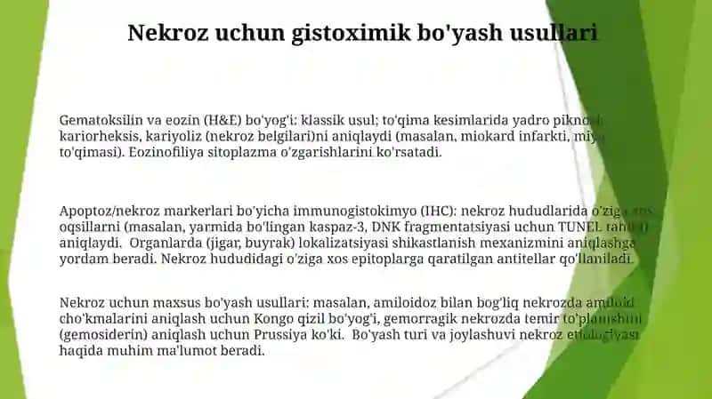 Immunogistokimyoviy usul haqida tushuncha 3