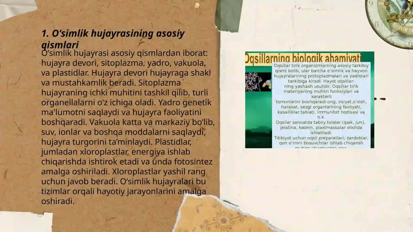 Oʻsimlik hujayraning tuzilishi organik oziqlanishi 3