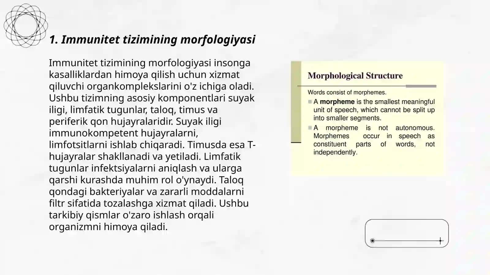 Immunologik reaksiyalarning morfologik asoslari 3