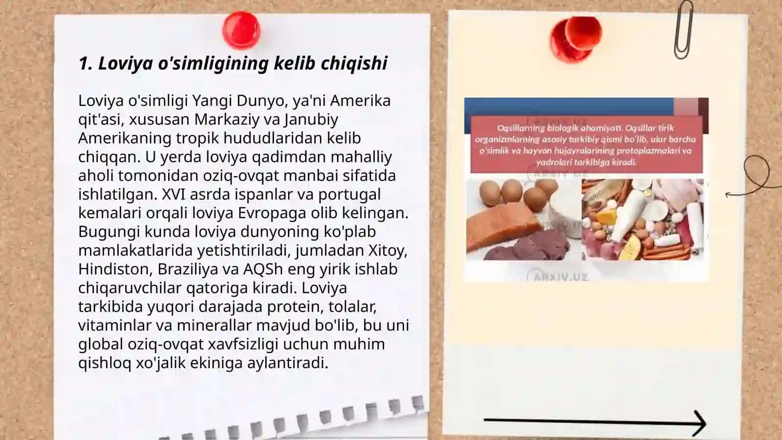 Loviya o‘simligining biologik tuzilishi, ishlatilishi va ahamiyati 3