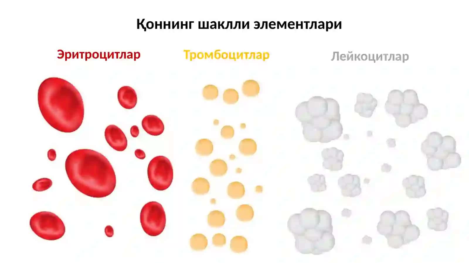 Тромбоцитлар 3