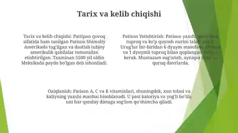 Patison Yetishtirish 3