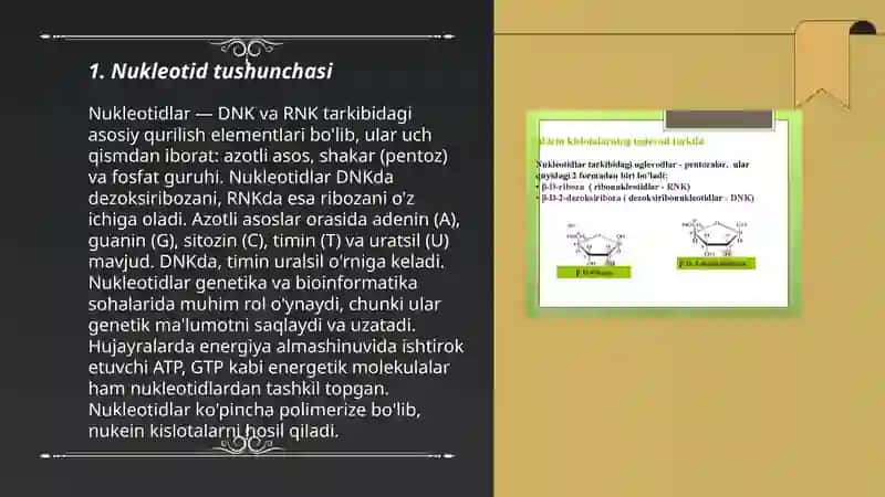 Nukleotidlar almashinuvi 3