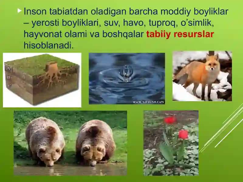 Mintaqalar tabiiy resurs salohiyati va ularning hududiy taraqqiyotda tutgan o’rni 3