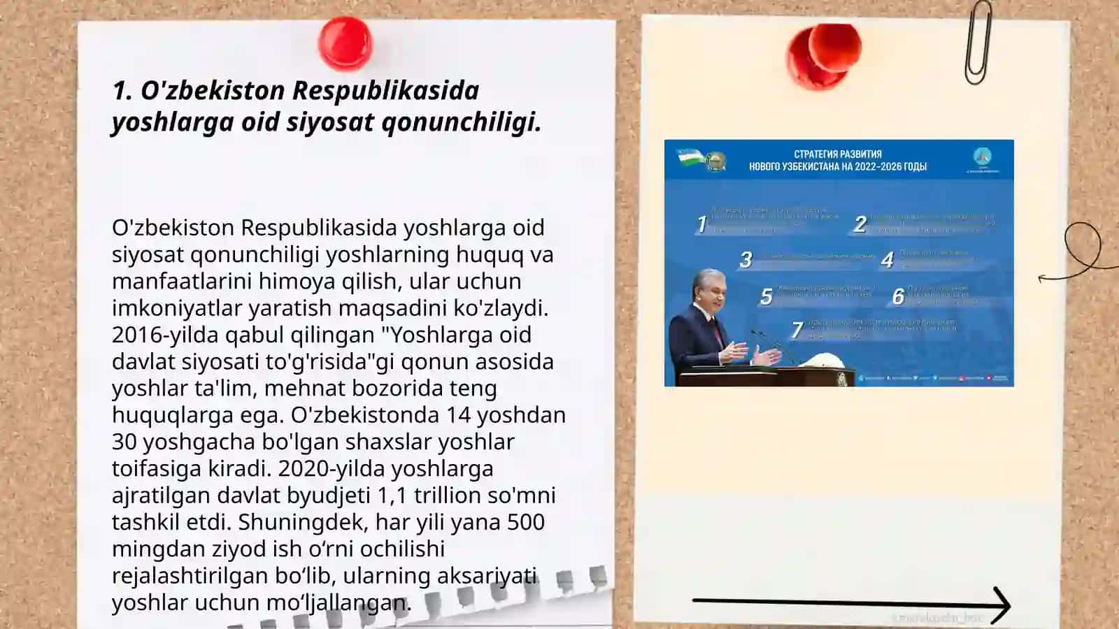 O'zbekistonda yoshlarga oid siyosatning huquqiy asoslari 3
