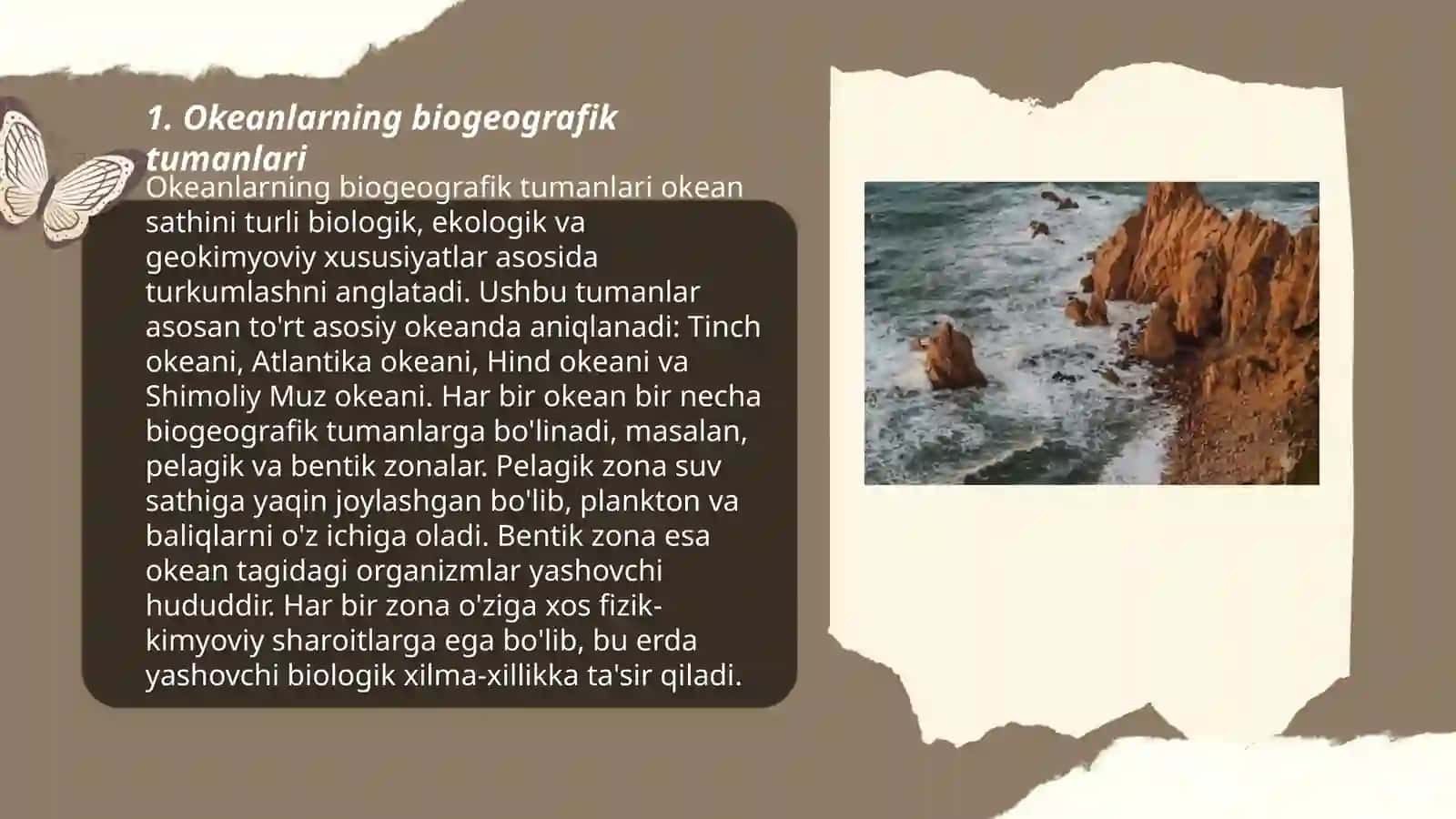 Okeanlarni biogeografik rayonlashtirish 3