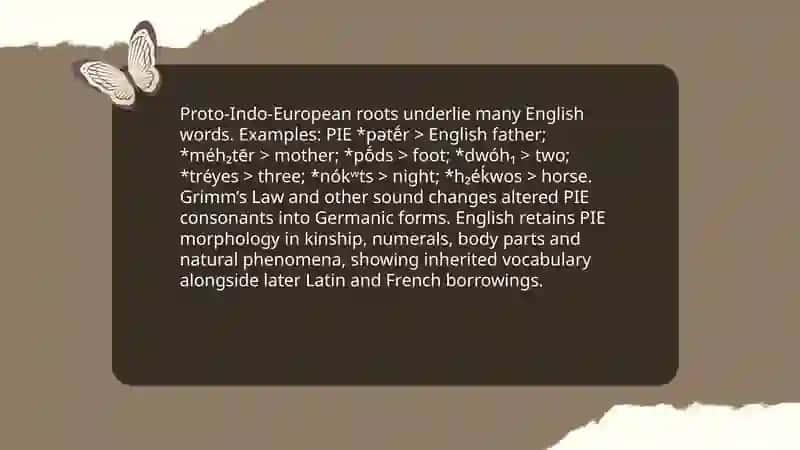 Etymology 3