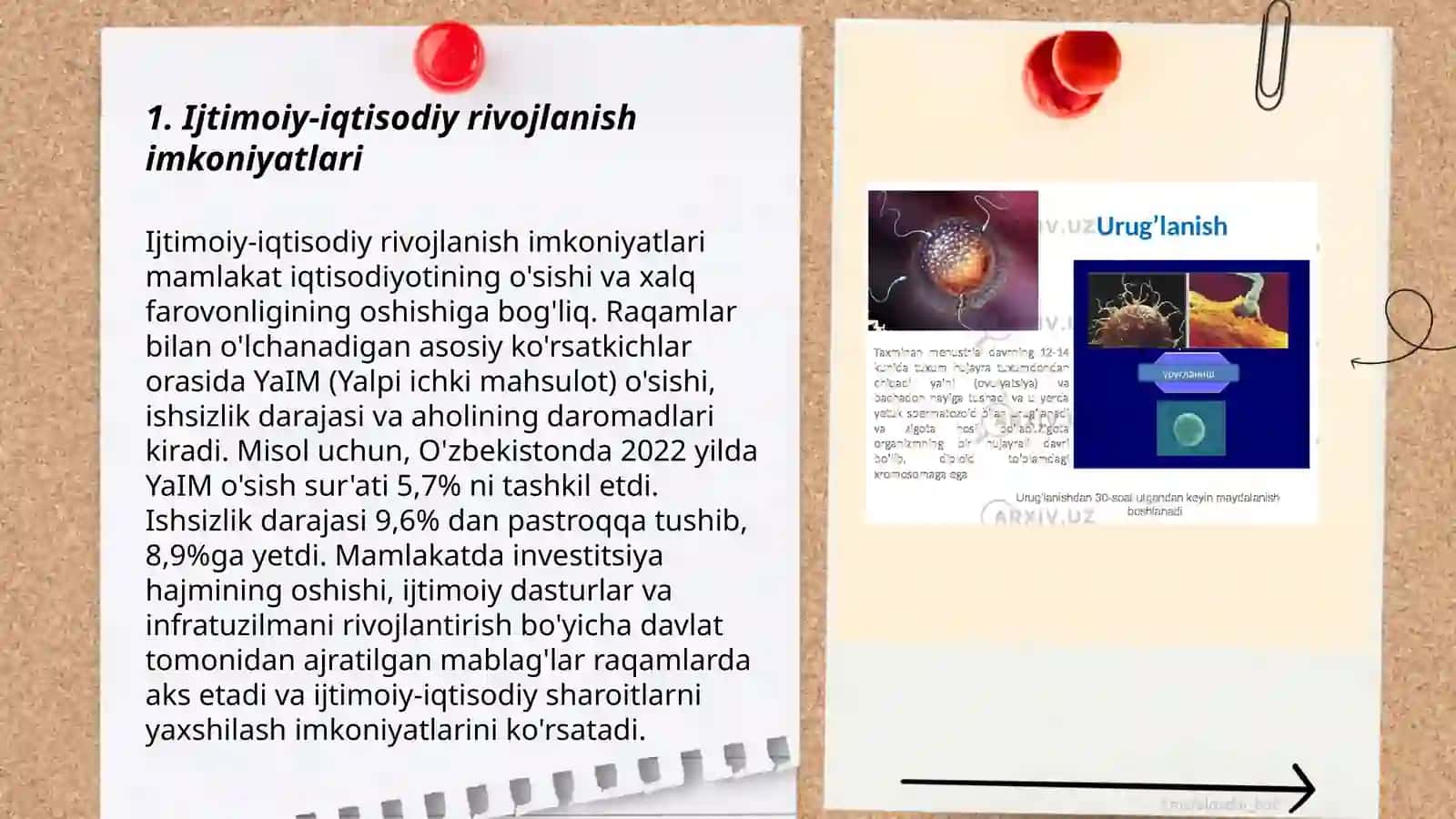 Ijtimoiy-iqtisodiy rivojlanish imkoniyatlari 3