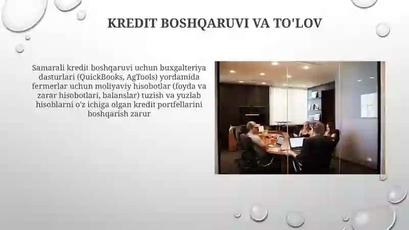 Samarali kredit boshqaruvi uchun buxgalteriya dasturlari (QuickBooks, AgTools) yordamida fermerlar uchun moliyaviy hisobotlar 3