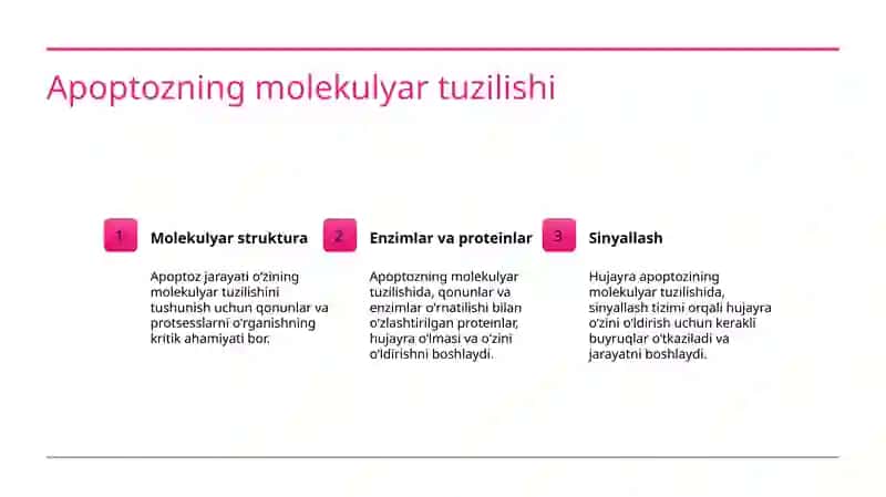 Hujayra apoptozi va uning biologik ahamiyati jarayonining boshqariluvi 3