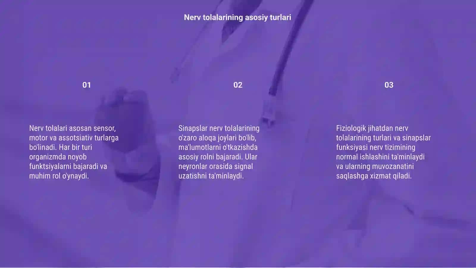 Nerv tolalari va sinapslar fiziologiyasi 3