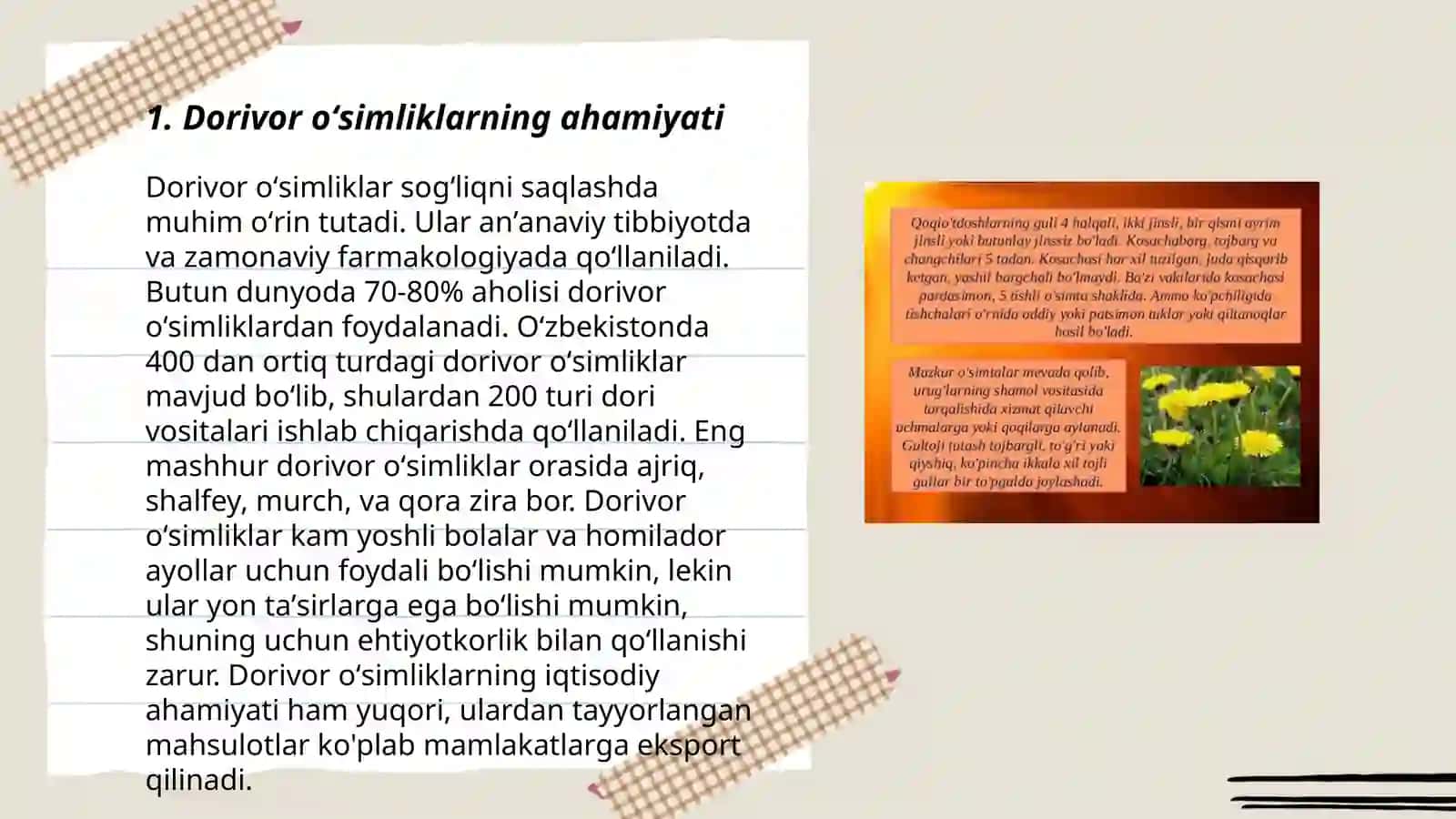 Dorivor qoqìoʻt oʻsimliklarining urugʻchilik 3