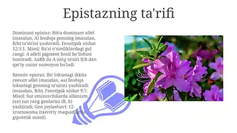Epistazuningdominantvaretsessivxili 3