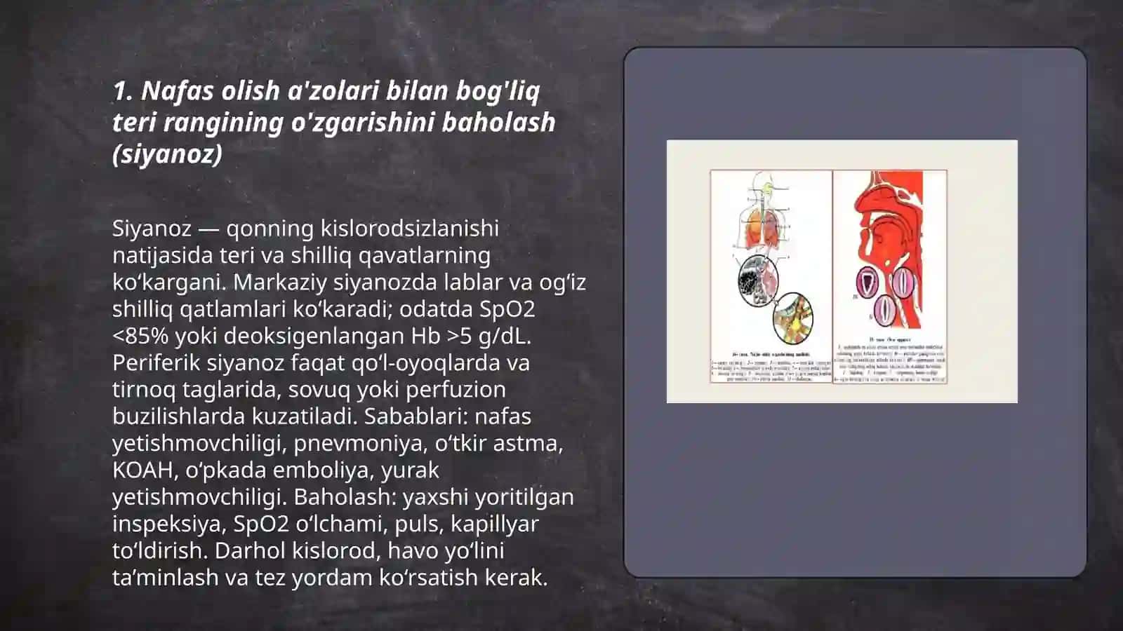 Nafas olish qon aylanish va ovqat hazim qilsh a'zolari terini baxolash 3