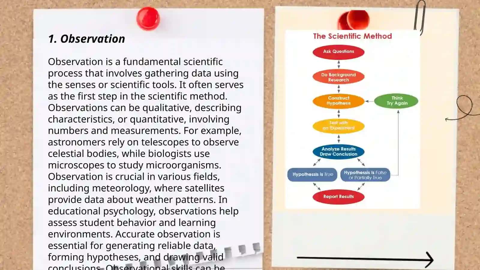 Types of scientific method 3