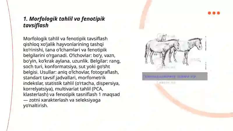 Morfologik tahlil va fenotipik tavsiflash 3