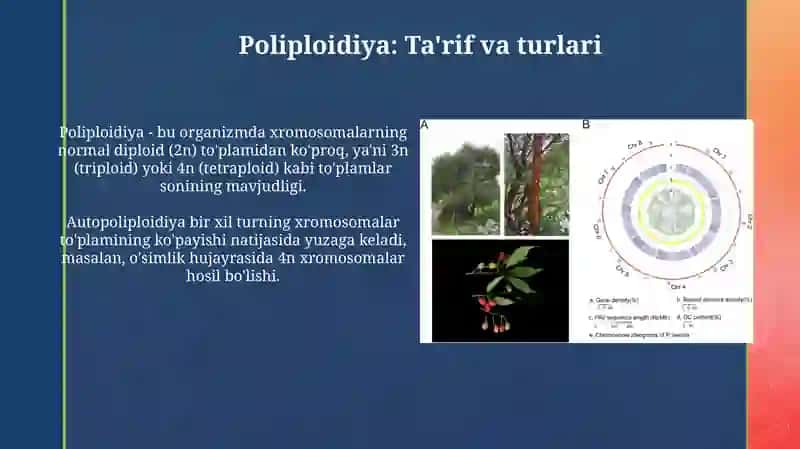 Poliploidiya, Genomika tarixi va bakteriyalar genom tuzilishi 3