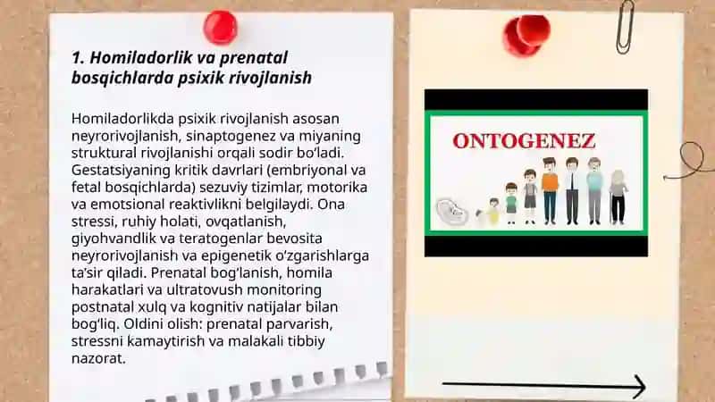 Ontogenez psixologiyasidan 20 ta mustaqil ta’lim mavzusi 3