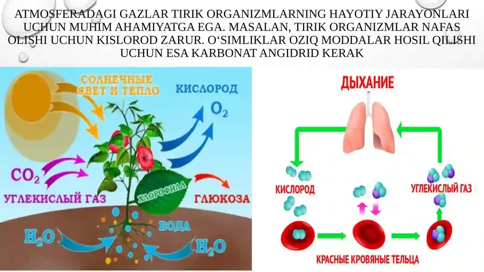 5 -sinf tabiiy fan. Atmosfera 2-qism 3
