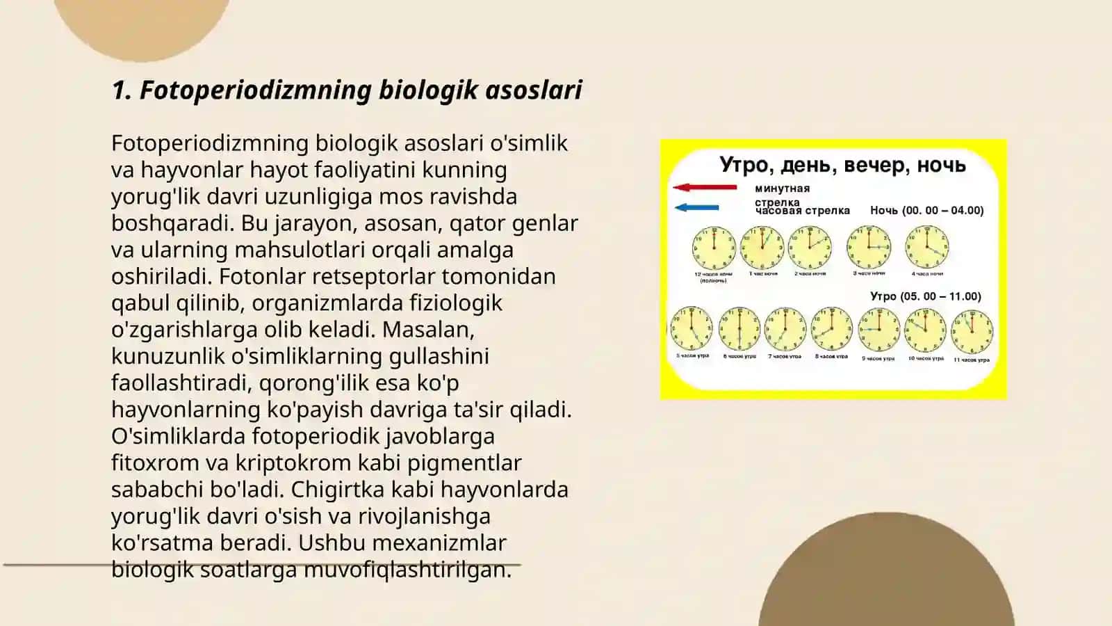 Fotoperiodizm, yorug'likning organizmlar uchun ahamiyati 3
