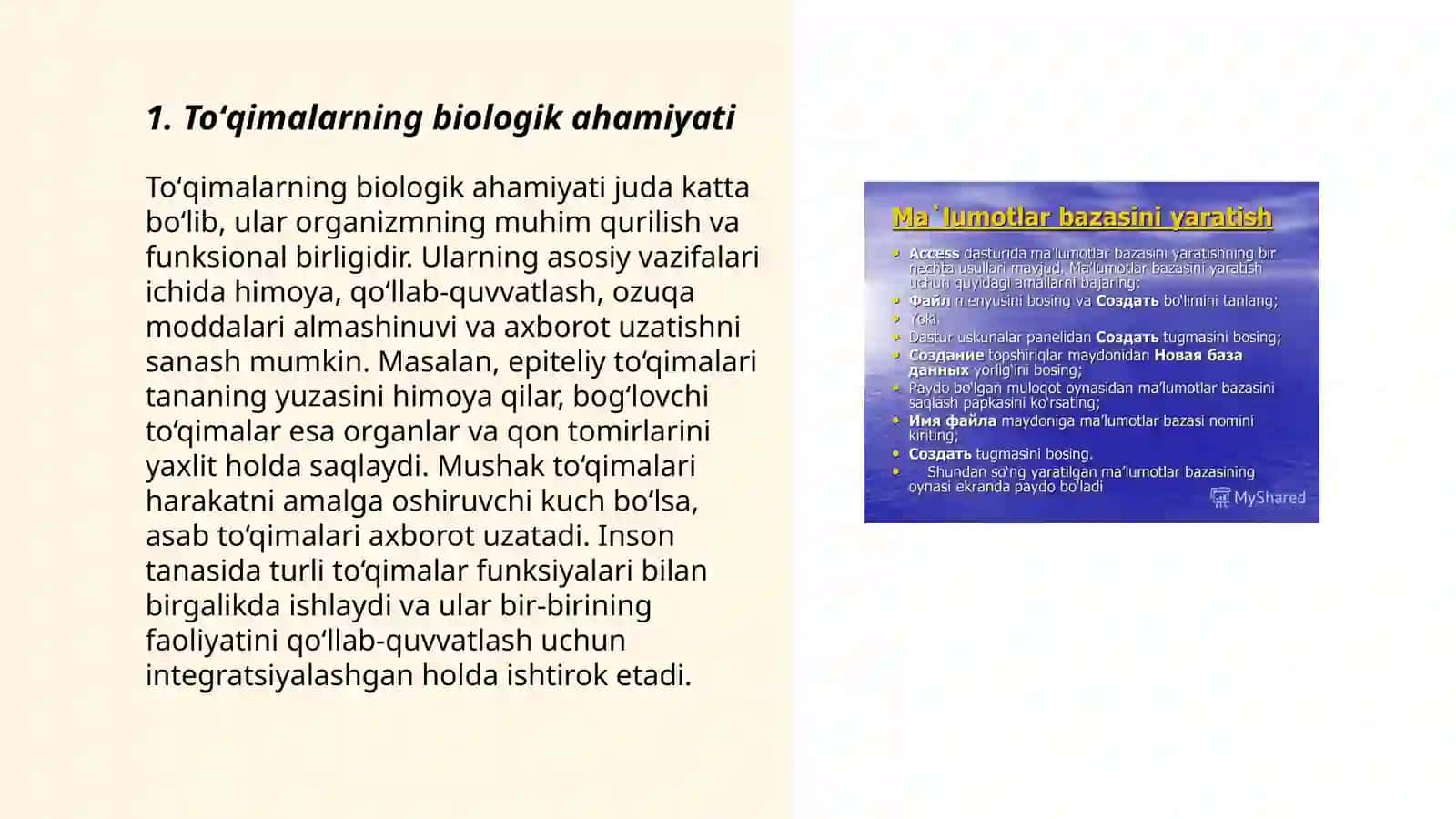Toʻqimalar haqida umumiy tushuncha va ularning tasnifi 3