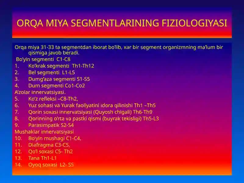 Markaziy asab tizimi fiziologiyasi 3