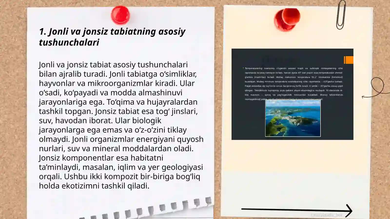Jonli va jonsiz tabiat slayd boshlangʻich sinf oʻqituvchilariga 3