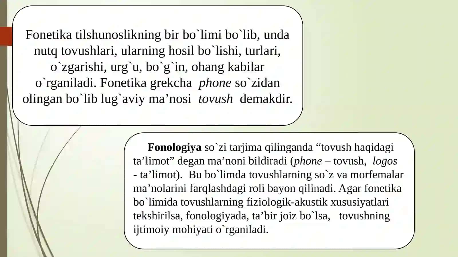 FONETIKA VA FONOLOGIYA,NUTQ APPARATI.ONA TILINING UNLI TOVUSHLARTIZIMI.HOZIRGI O’ZBEK ADABIY TILINING UNLI VA UNDOSH FONEMALARI 3