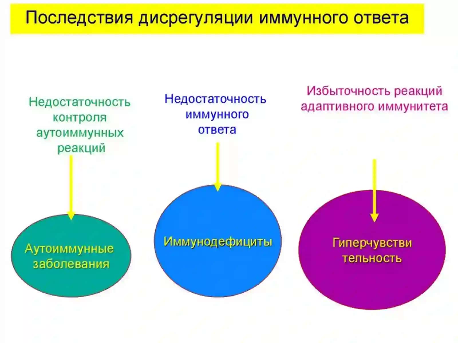 Аллергические заболевания.Этиология и патогенез 3