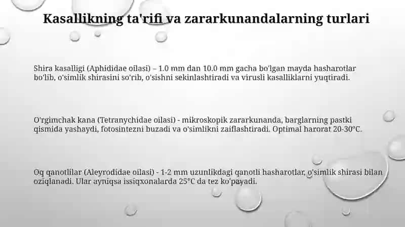 Dorivor o'simliklarni so'ruvchi zararkunandalarni aniqlash va qarshi kurash choralari 3
