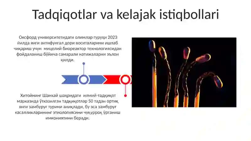 Zambar kasalliklarini olish va davolash 3