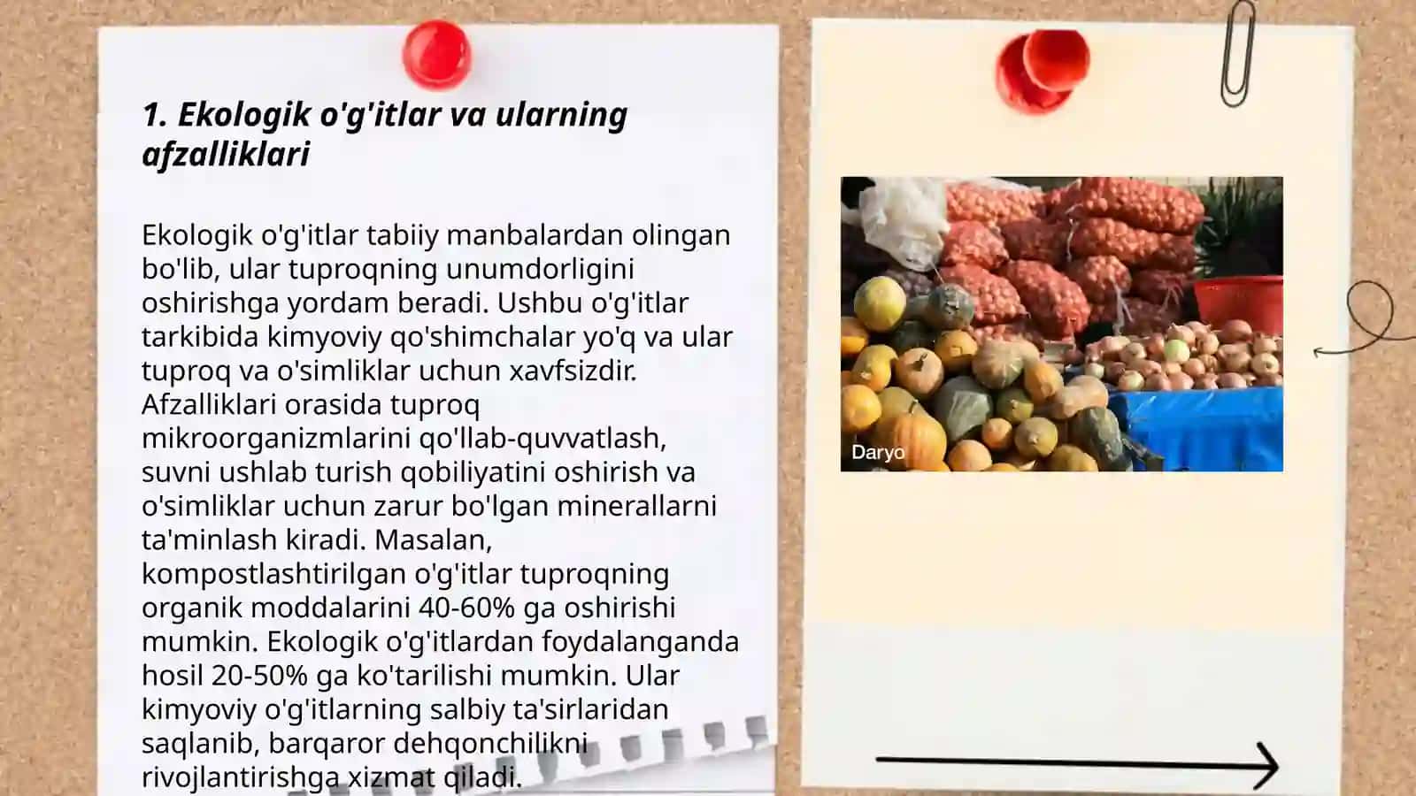 Ekologik toza qishloq xo'jaligi mahsulotlarini yetishtirish 3