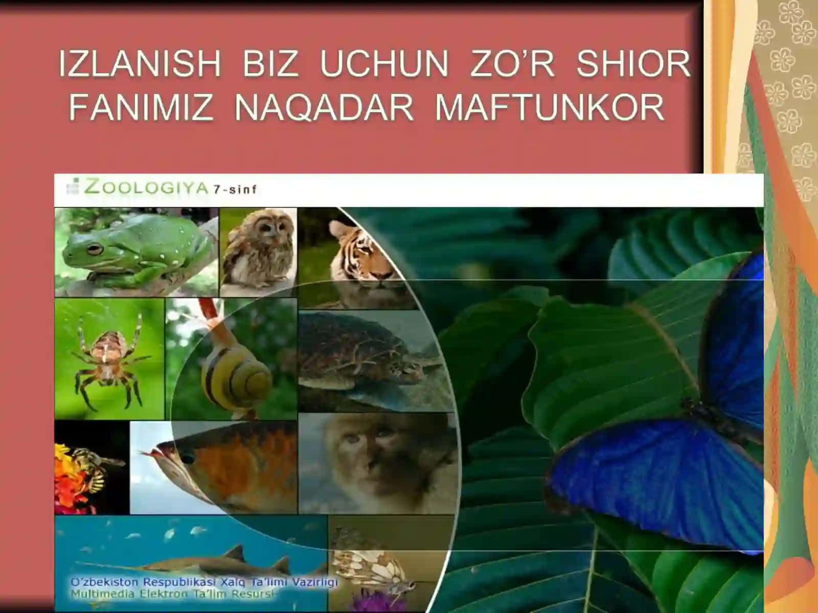 Biologiya fanidagi ochiq dars ishlanmasi 3