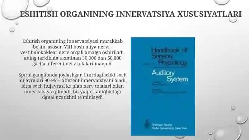 Eshitish organi innervatsiyasining xususiyatlari 3