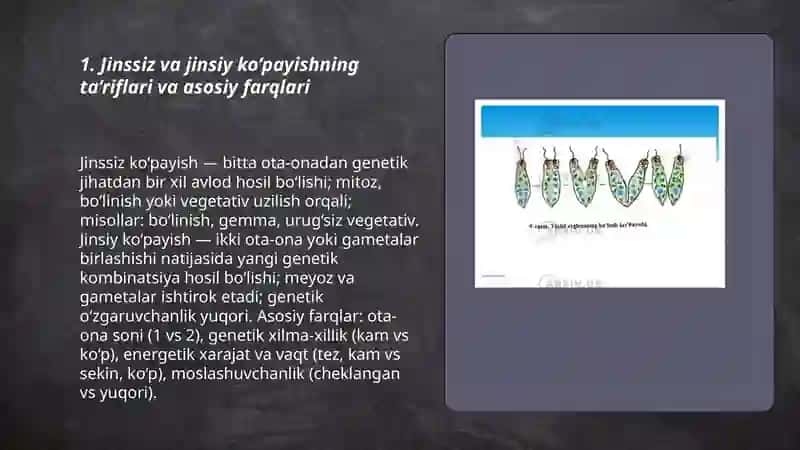 Jissiz va jinsiy ko’payishning biologik ahamiyati 3
