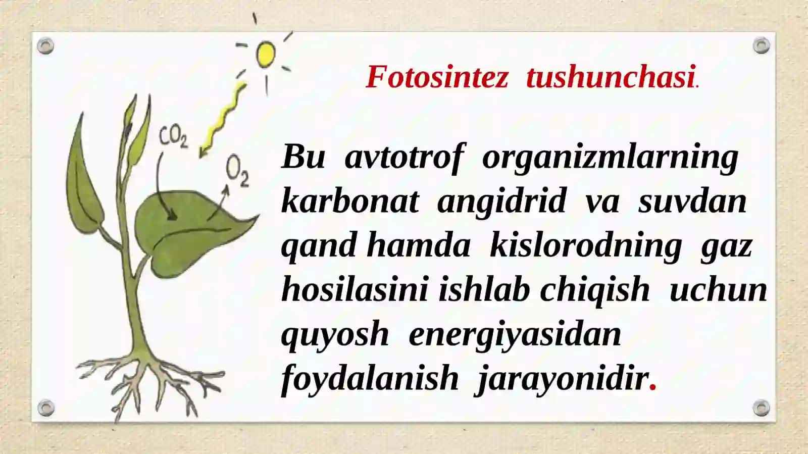 Bargda organik moddalarning hosil bo'lishi 3