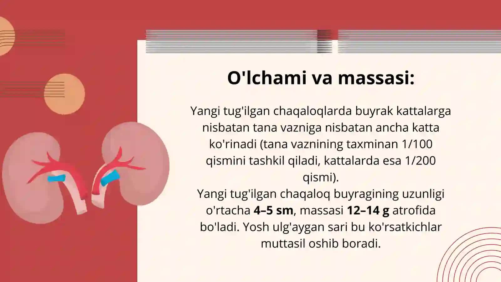 Bolalarda Buyraklarning Anatomo-Fiziologik Xususiyatlari — 12 Slaydlik Taqdimot 3