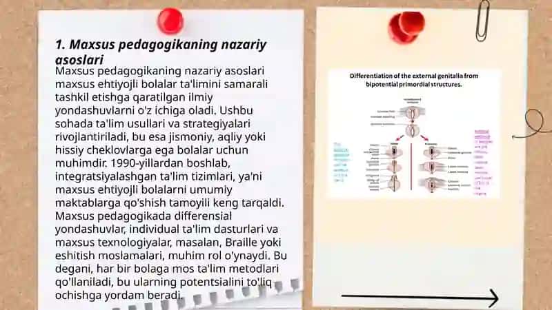 Maxsus pedagogikaning klinik asoslari fanining maqsadi va vazifalari 3