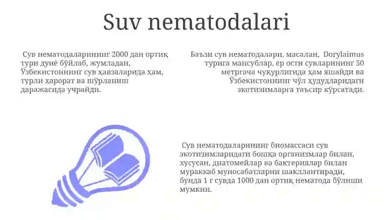Nematodalar sinfi 3