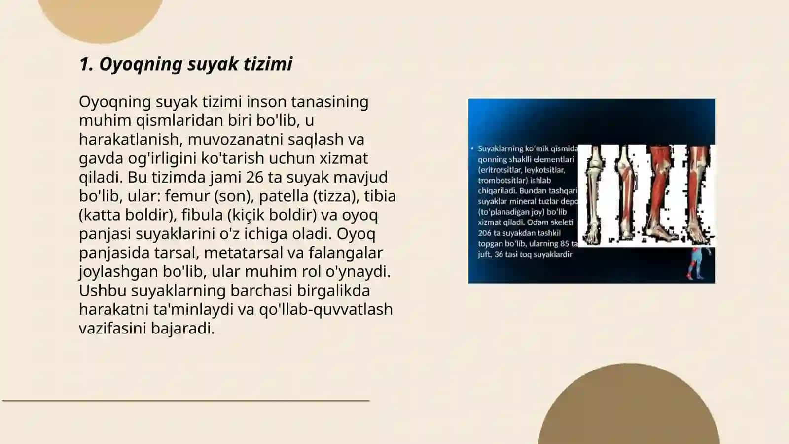Oyoqning erkin suyaklari 3