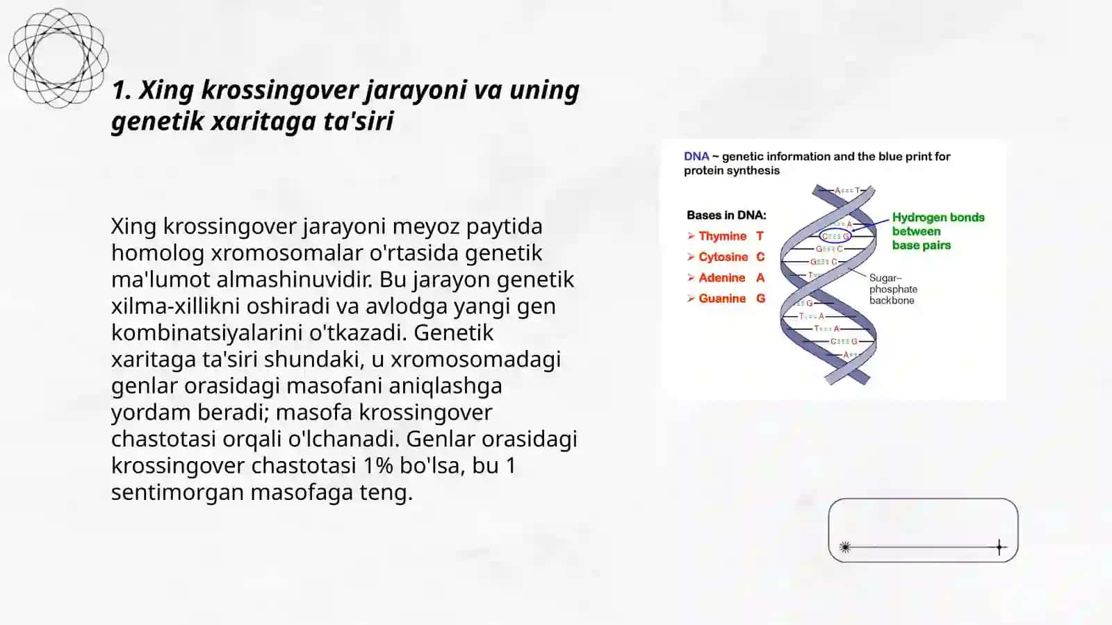 Xromosomalarning genetik va sitologik xaritasi 3